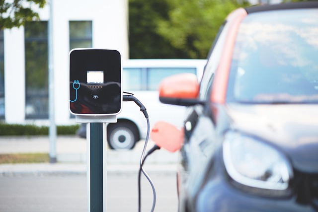 the Used Electric Vehicle Market in the UAE Grew By 53% in 2024